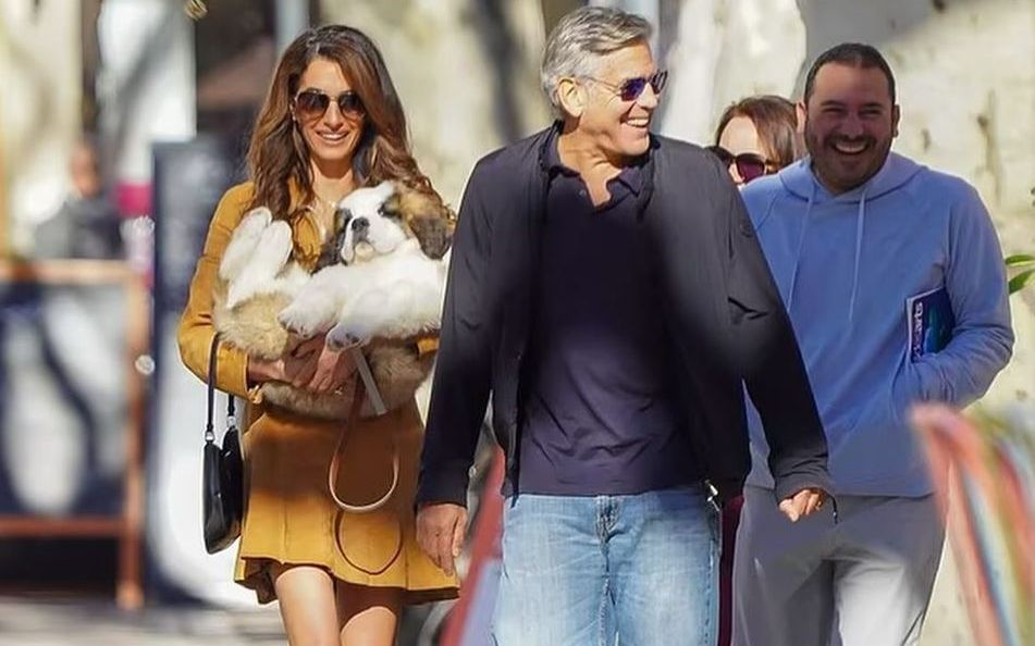 Amal Clooney, la plimbare cu cățelul adorabil din rasa St. Bernard primit cadou de la soțul ei